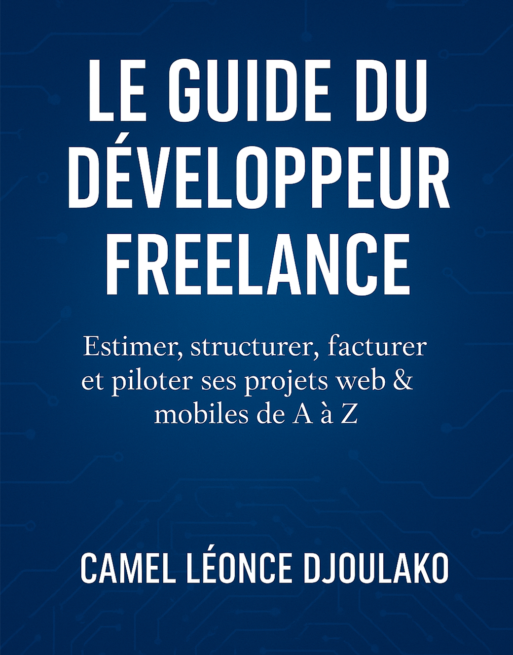 Le Guide du Développeur Freelance - image